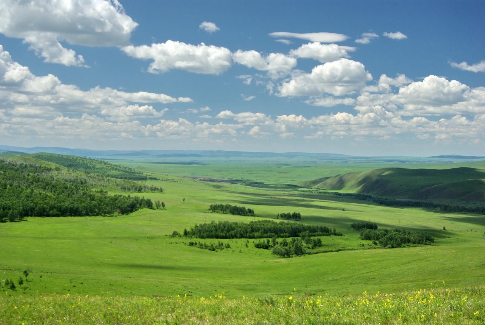 Лесостепь Забайкалья